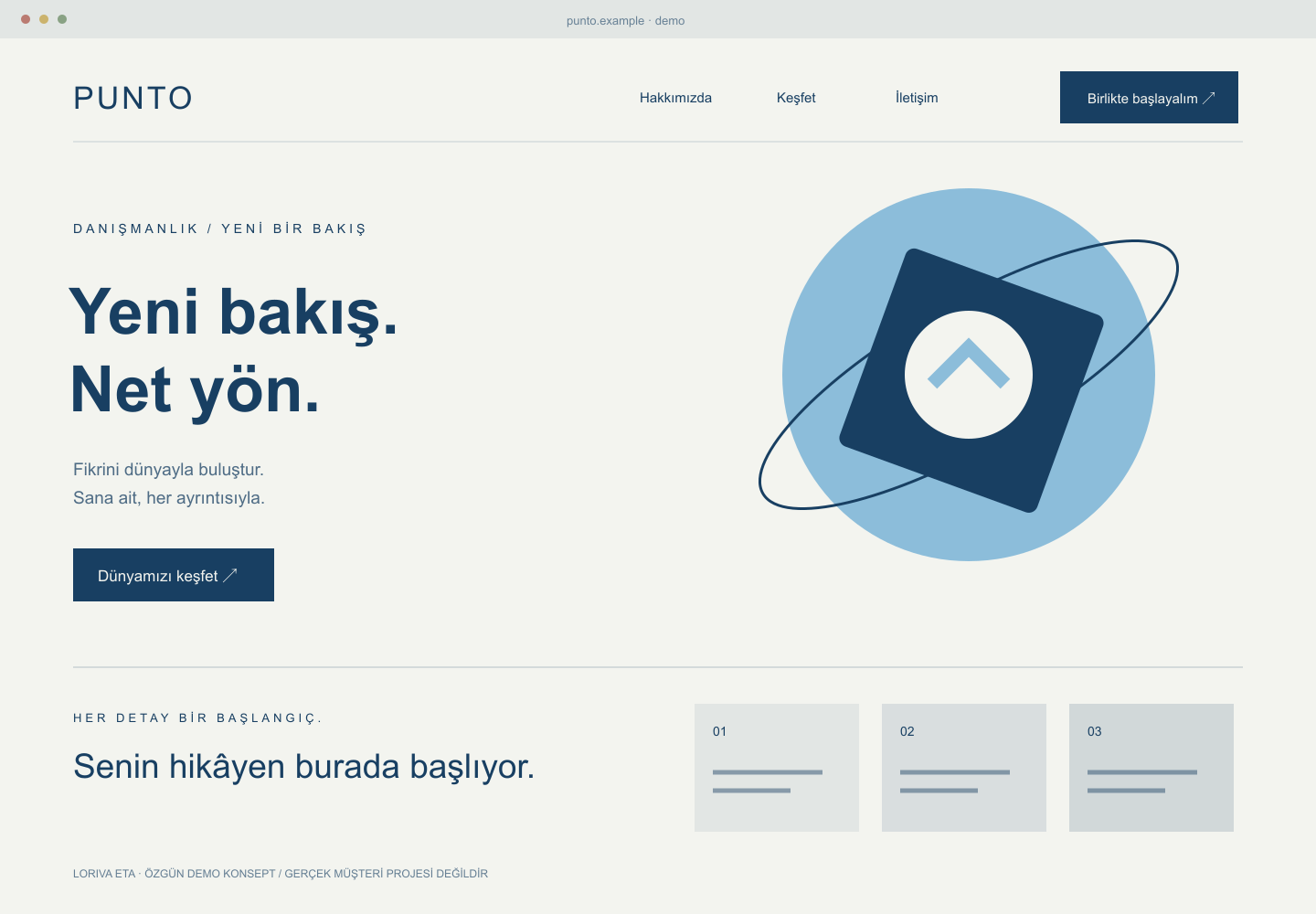 PUNTO — Danışmanlık web tasarımı